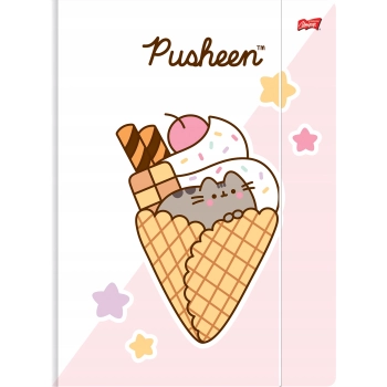 Teczka z gumką A4 300g. PUSHEEN mkmo St.Majewski