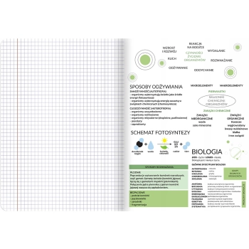 Zeszyt A5 60k kratka margines ściągi BIOLOGIA 400181529 TOP 2000