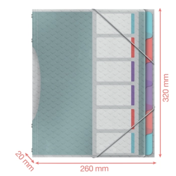 Teczka segregująca z 6 przekładkami ESSELTE COLOUR