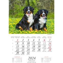 Kalendarz wieloplanszowy 13 kartkowy Psy W7 BESKIDY