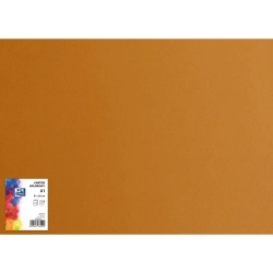 Karton kolorowy CREATINIO A1 160G (25 ark.) 19 brązowy 400149528 TOP 2000