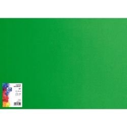 Karton kolorowy CREATINIO A1 160G (25 ark.) 68 zielony 400149559 TOP 2000