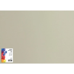 Karton kolorowy CREATINIO A2 160G (25 ark.) 94 szary 400150159 TOP 2000