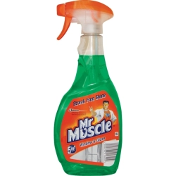 Płyn spray do szyb MR MUSCLE 500ml zielony